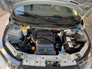 WhatsApp Image 2026-01-06 at 09.10.27(1)