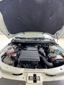 WhatsApp Image 2026-01-08 at 10.16.46(1)