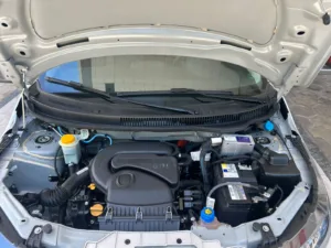 WhatsApp Image 2026-01-08 at 13.26.05 (1)