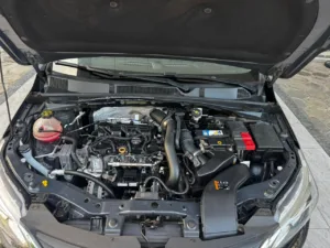 WhatsApp Image 2026-03-10 at 10.21.04