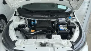 WhatsApp Image 2026-04-09 at 11.50.17